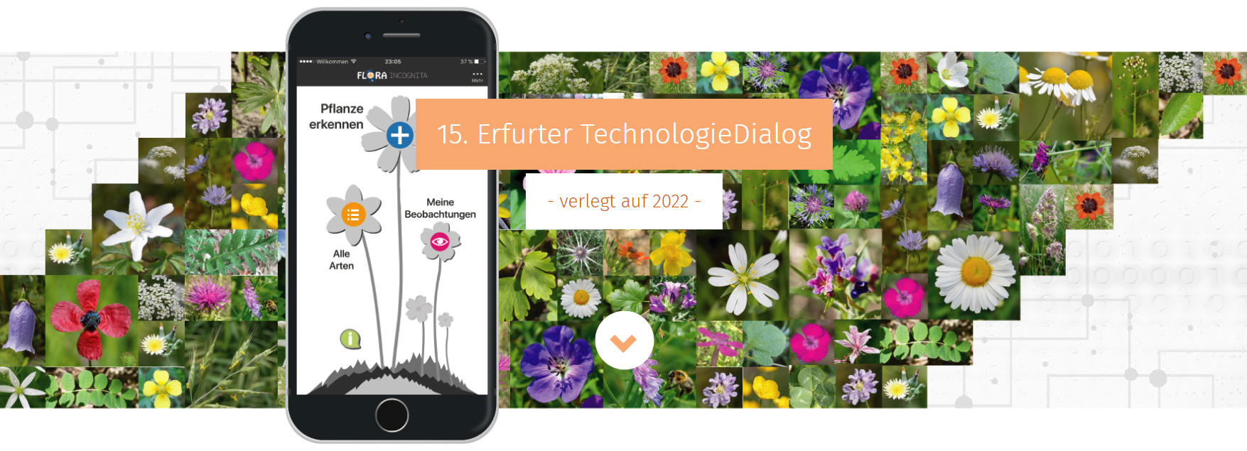 etd15_verlegt_auf_2022 etd15_verlegt_auf_2022